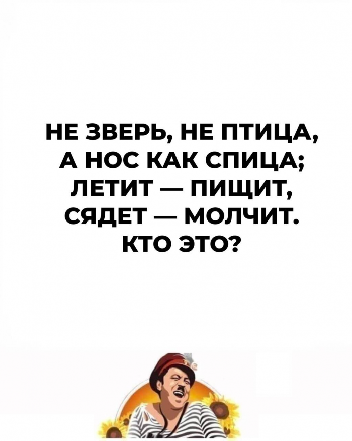 12 загадок, придуманных еще нашими бабушками, но мы гадаем над ними до сих пор