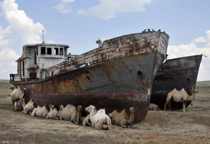 Как в СССР загубили Аральское море