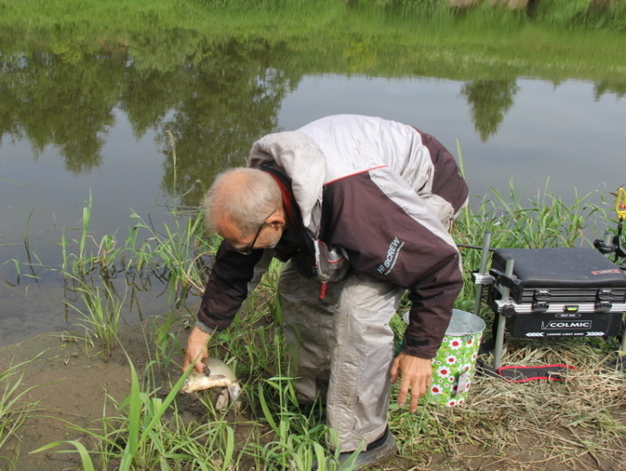 Простые растительные насадки