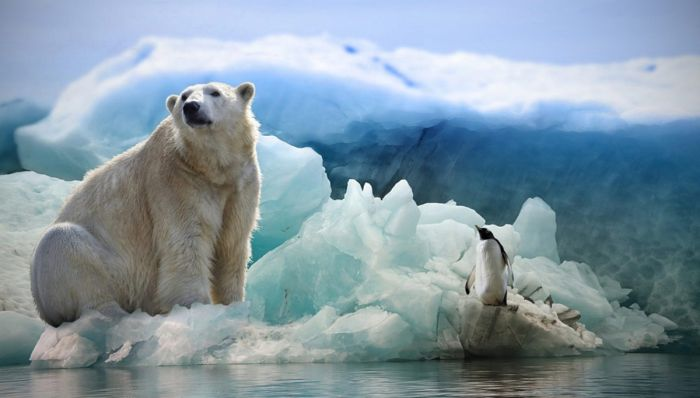 Почему Арктика теплее Антарктики