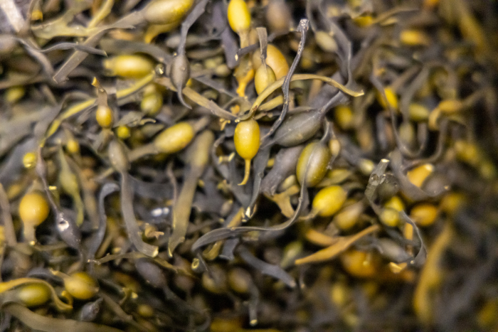 5 причин посетить Архангельскую область