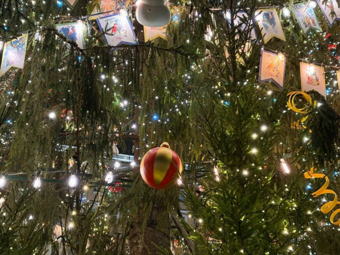 На Дворцовой площади зажгли главную новогоднюю ель Петербурга