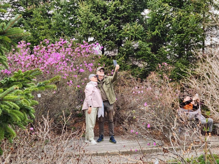 Весны расcвет: абоненты МегаФон наращивают трафик в местах цветения рододендронов