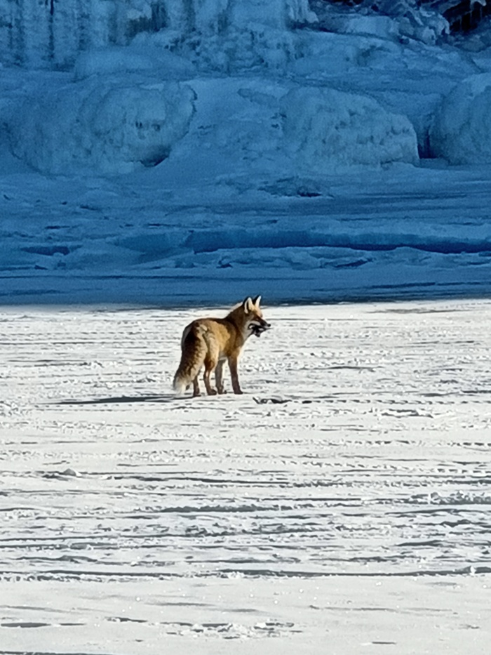 Байкал. Февраль 2023. День 5. Север острова Ольхон