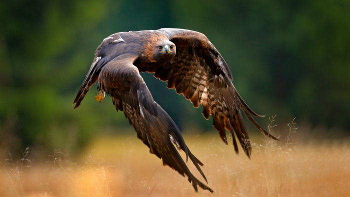 Обь: чем интересна великая сибирская река