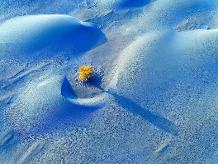 15 самых потрясающе красивых фото зимних видов Земли за всю историю конкурса Nature Photography Contest