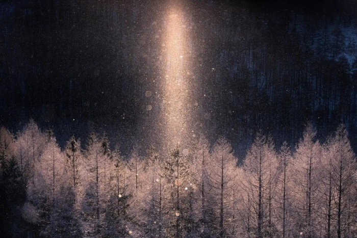 15 самых потрясающе красивых фото зимних видов Земли за всю историю конкурса Nature Photography Contest