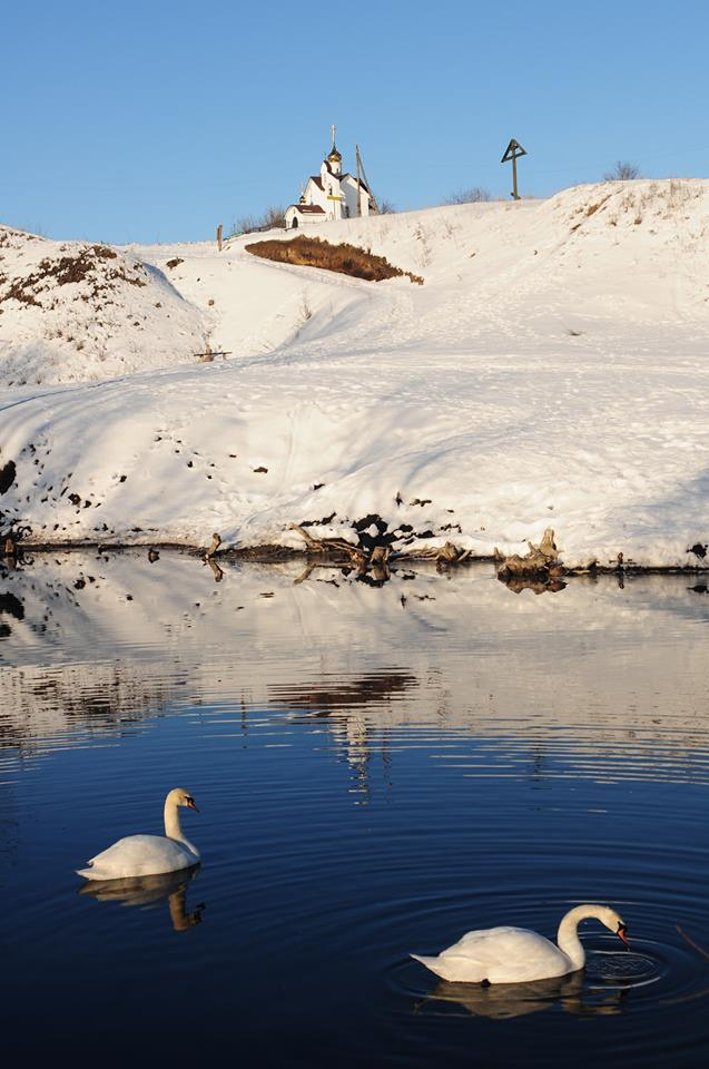 Сосковские меценаты и Никита Михалков подарили орловцам храм, а гусыня — лебедят
