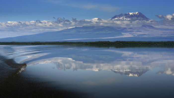 Вулкан Шивелуч в 2026-м: что известно о самом северном действующем вулкане Камчатки