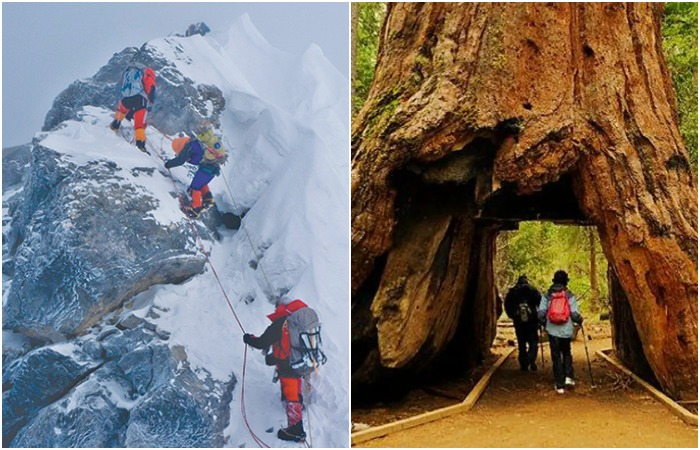 «Ступенька» на Эвересте, и ещё 6 чудес природы, которые мир потерял за последние полвека