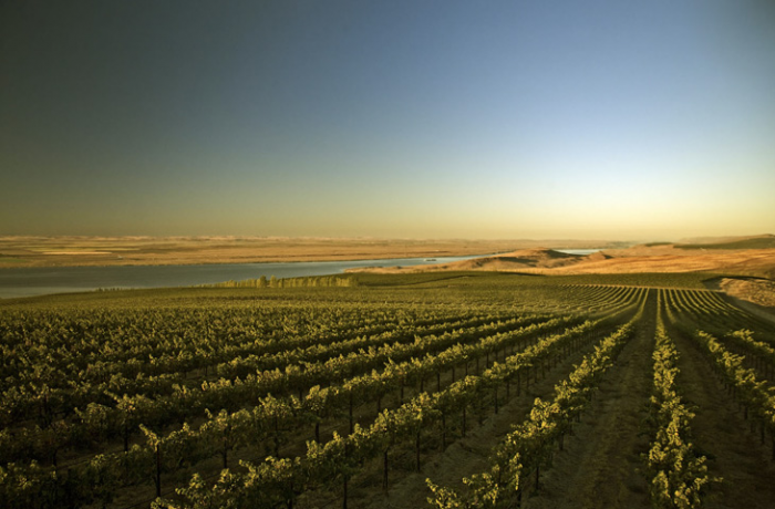 5 неизвестных винных регионов, которые должен посетить каждый