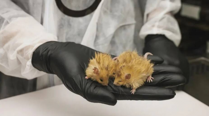 15 интересных фактов как доказательство, что всё не так банально, как кажется