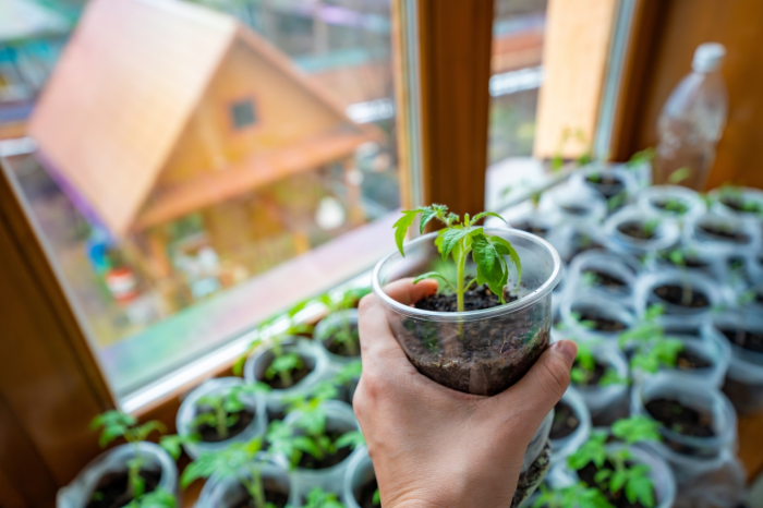 Turogo.ru - Туризм, охота и рыбалка