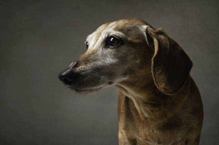 30 лучших фотографий природы с престижного конкурса Tokyo International Foto Awards