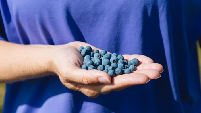 На берегу этой тихой реки: зачем ехать на выходные в Тверскую область