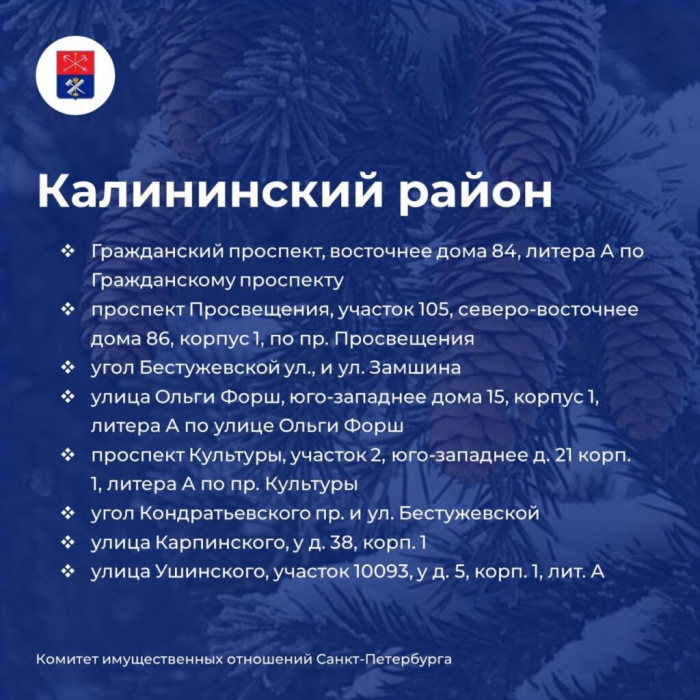 Петербуржцам назвали адреса елочных базаров, которые заработают 20 декабря 2025