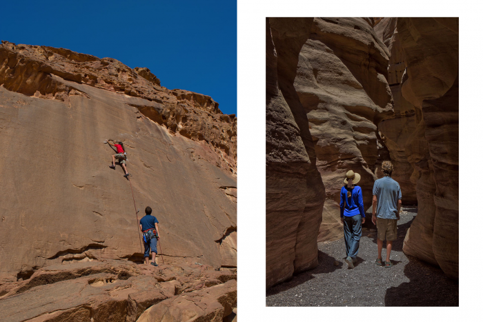 Горы, море и чёрнопятнистый иглобрюх: почему надо ехать в Израиль прямо сейчас