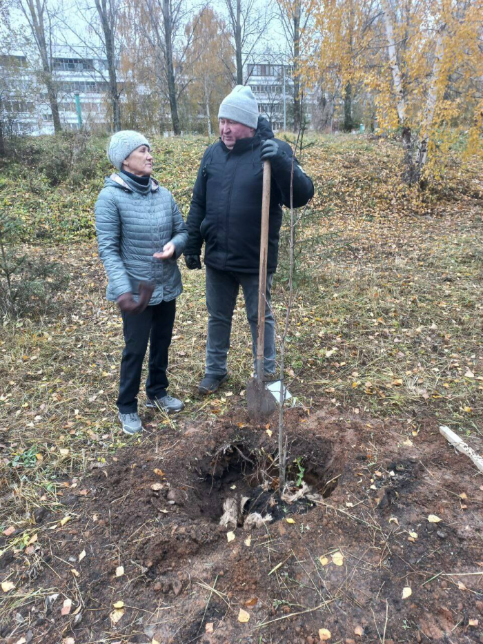 В Челнах появилась «Семейная аллея» — ее высадили родственники и ветераны СВО