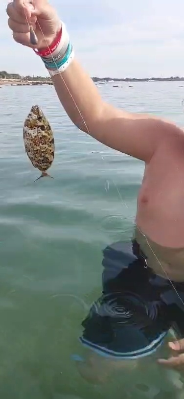 Улов рыбы Фугу, Турция (Сиде)