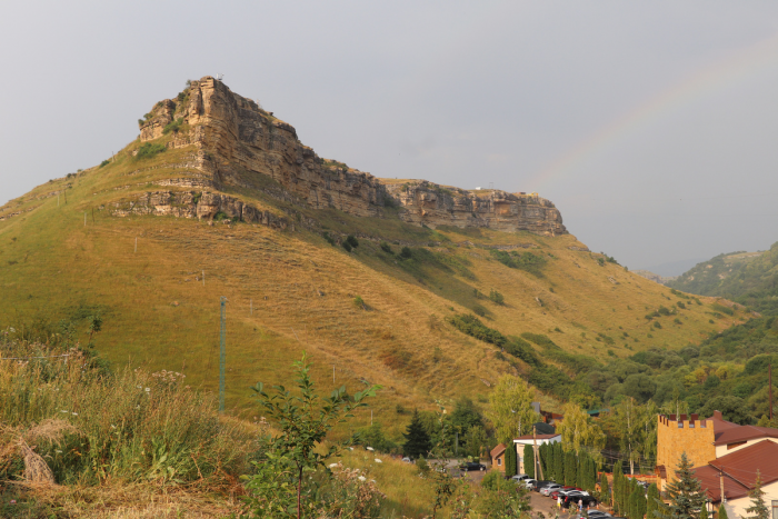Откуда в Кисловодске взялись бараны с четырьмя рогами