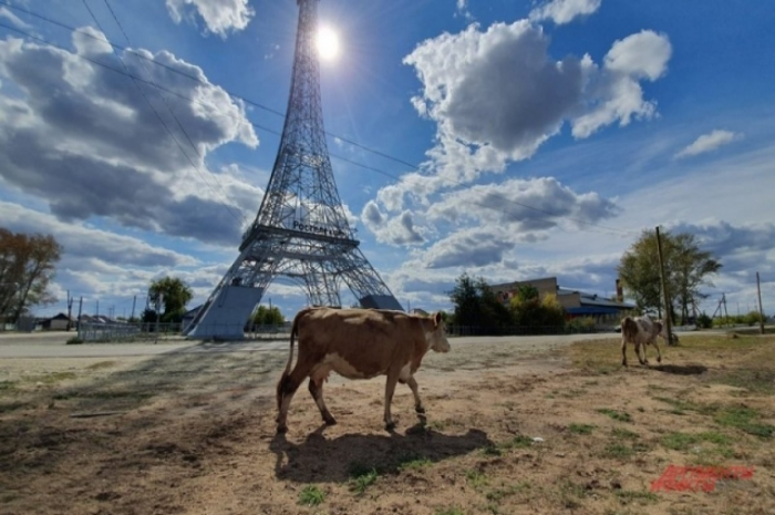 Париж с запахом навоза и видом на Эйфелеву башню: место на Урале, где хочется одновременно плакать, смеяться и кланяться предкам в ноги