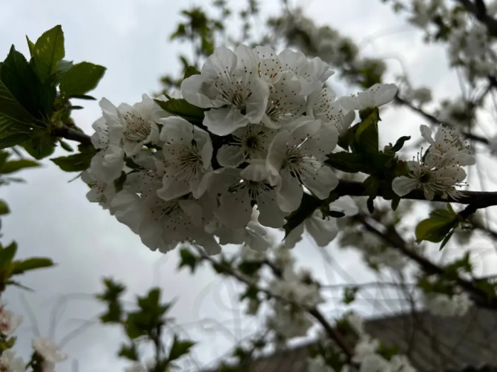 Turogo.ru - Туризм, охота и рыбалка