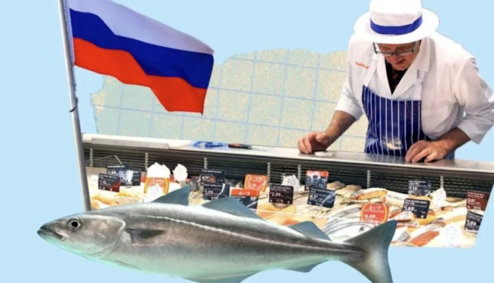 Без рыбы, сэр! The Times сама попросила Путина забрать русскую рыбу — Россия выполняет «пожелания трудящихся»