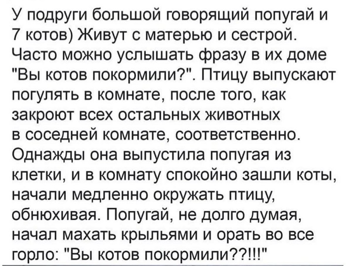 Пока я думал, куда потратить деньги, они сами куда-то все потратились