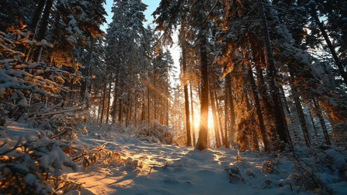 Самая длинная ночь года: что можно и нельзя делать в день зимнего солнцестояния 21 декабря