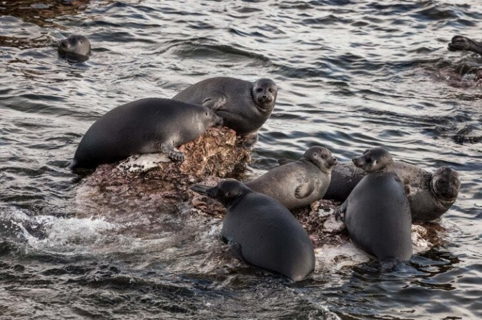 Turogo.ru - Туризм, охота и рыбалка