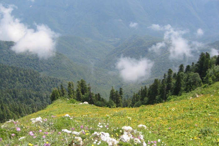 Неделя в Абхазии: отдых, который оказался лучше ожиданий