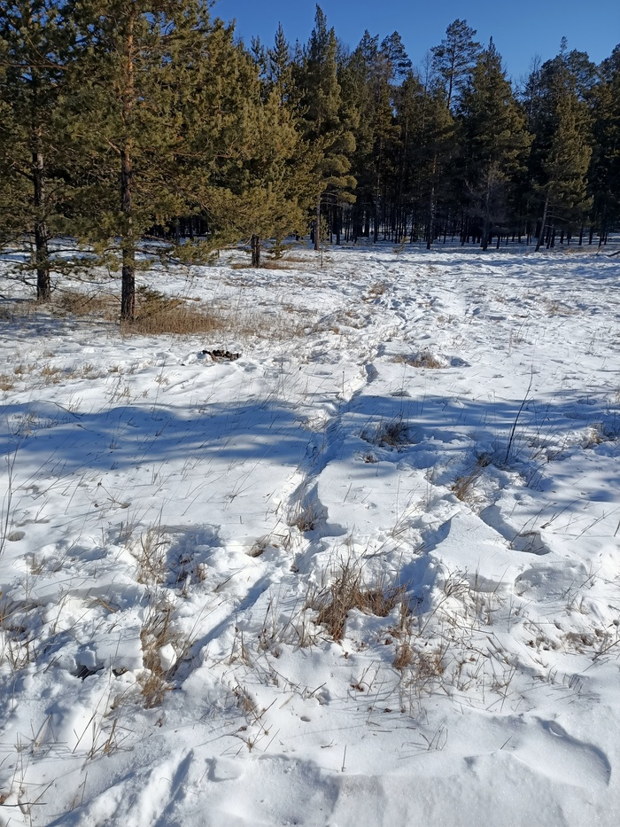 Байкал. Февраль 2023. День 6. Один на один (более 30 км пешки)