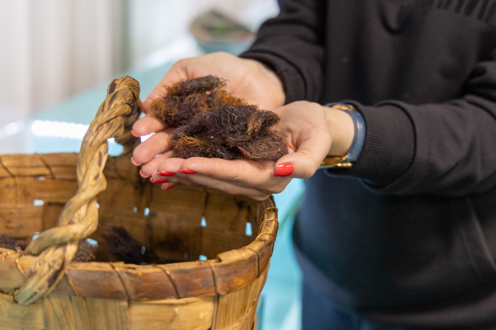 5 причин посетить Архангельскую область