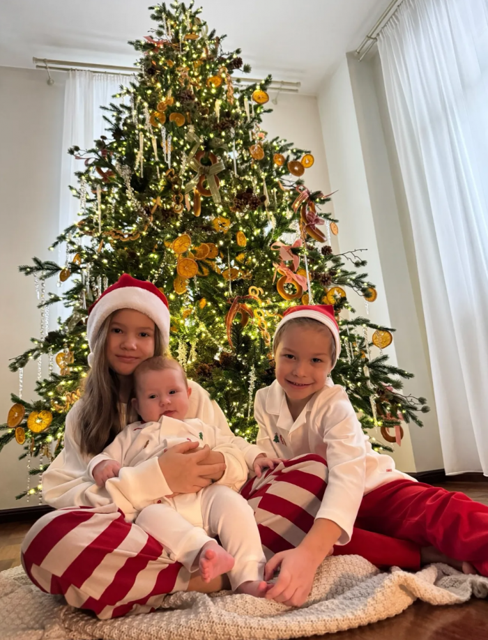 Сушки вместо шаров и гирлянды, которые видно из космоса: самые красивые новогодние елки российских звезд 2026