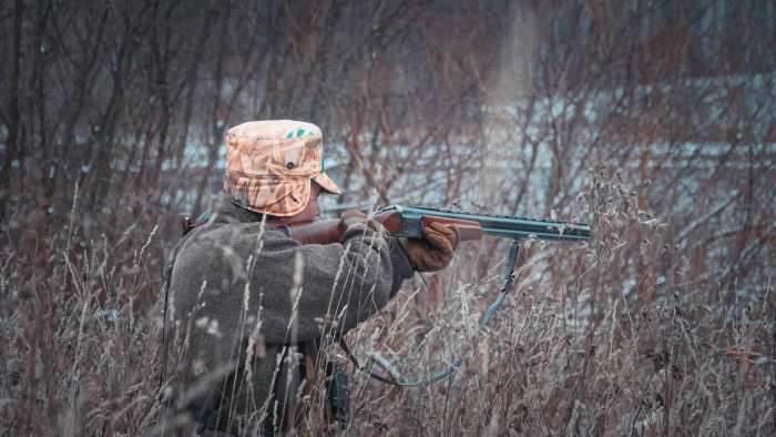 В Нижегородской области в 2025 году добыли 60 волков и 215 лисиц