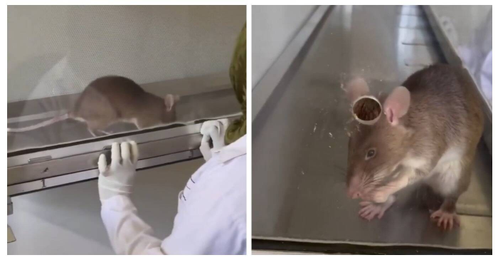 15 интересных фактов как доказательство, что всё не так банально, как кажется