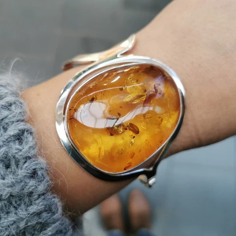 ЗОЛОТОЙ СОН - О янтаре и тех, кто пытался разгадать его происхождение