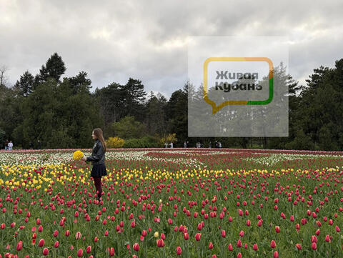 Вытаптывают клумбы и оставляют горы мусора: как выглядит дендрарий Краснодара во время цветения тюльпанов