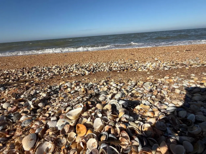 Turogo.ru - Туризм, охота и рыбалка