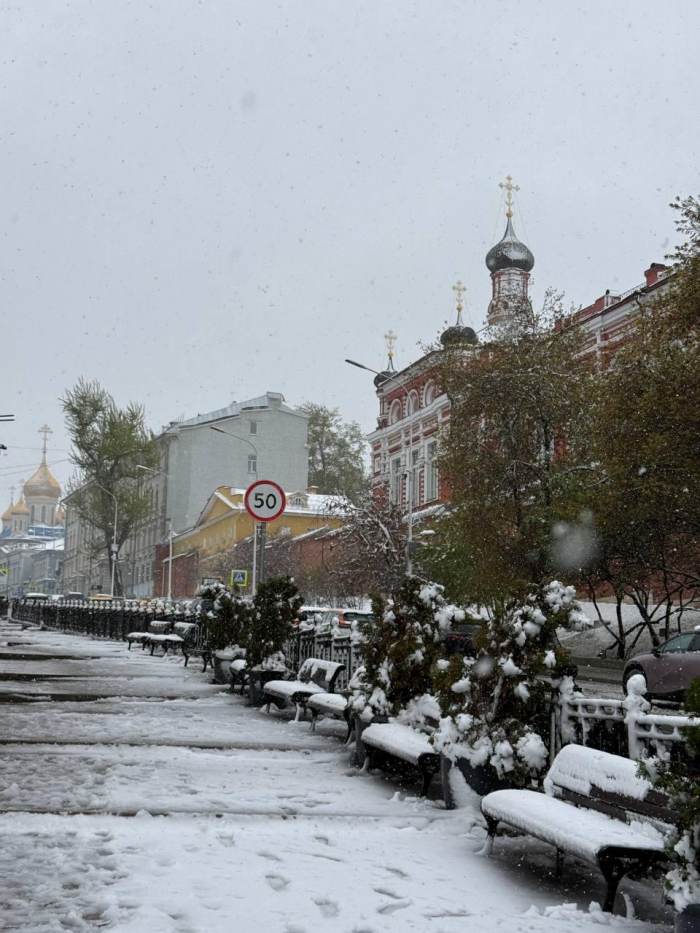 Поваленные деревья, поврежденные машины: Москва оказалась в центре снежного апокалипсиса (много фото)