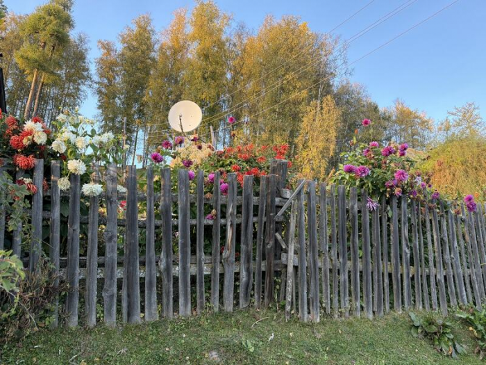 "От медведя не убежишь". Эксклюзивный репортаж из заповедника Яйлю, где живут косолапые