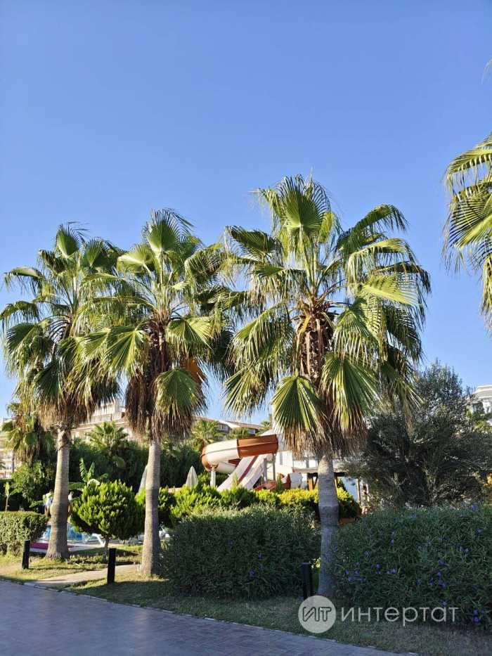 Диңгез буенда хәлләр бар, яки Мин ничек беренче тапкыр ял иттем