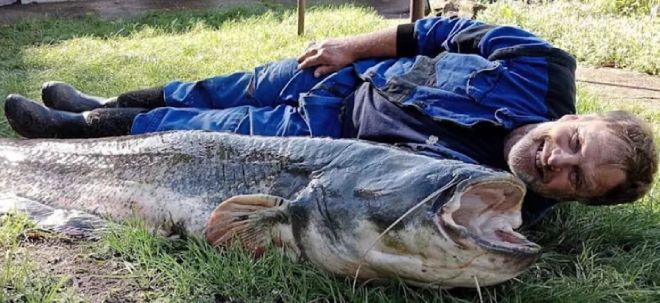 Рыбак в Чехии выудил в озере карпа размером с себя