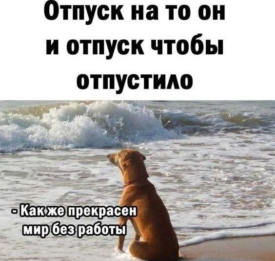 Смешные мемы и картинки про отпуск и отдых