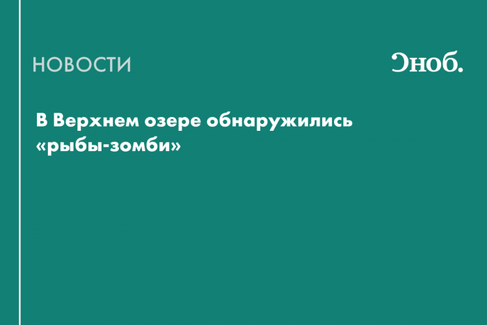 В Верхнем озере обнаружились «рыбы-зомби»