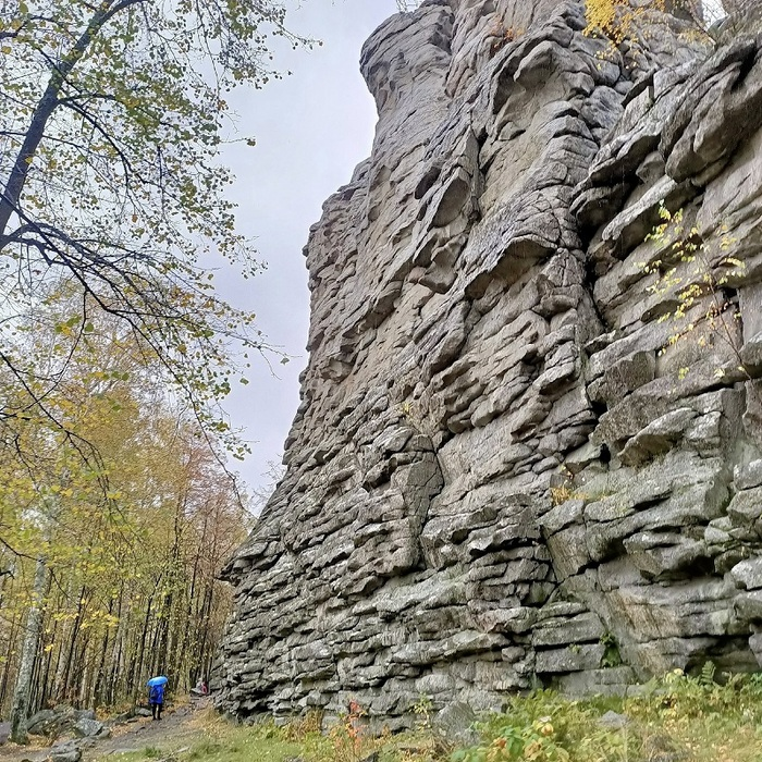 Любите путешествовать на электричке?