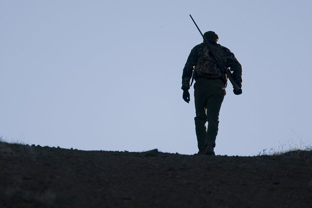 Суперлуние 5 ноября 2025 года: когда и как смотреть на луну Охотника