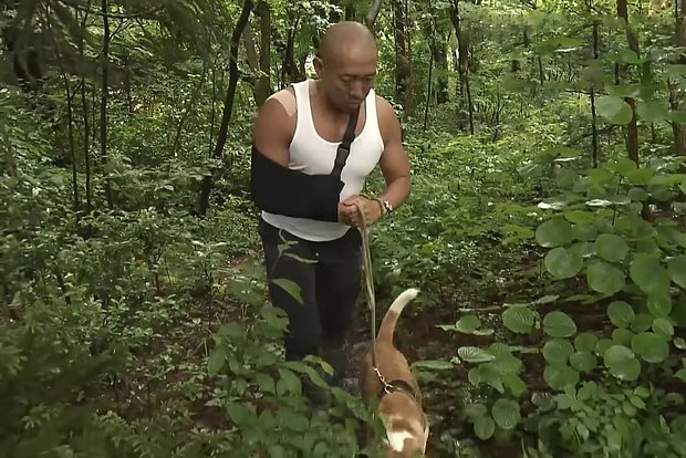 «Главное — не количество лап, а сила духа» Самые добрые и трогательные истории 2025 года, заставляющие поверить в чудо