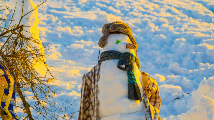 Откуда появился снеговик