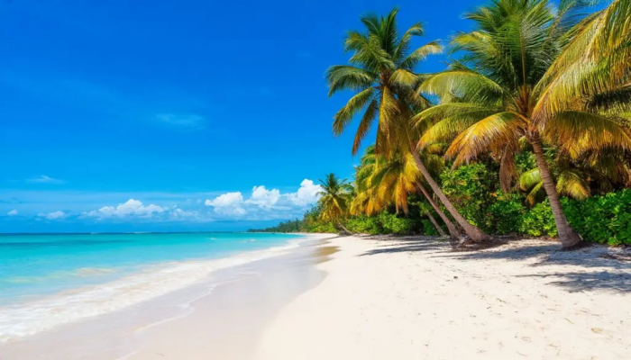 Turogo.ru - Туризм, охота и рыбалка